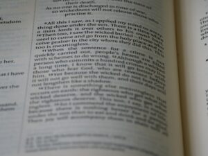 Rejtett fajok – a kriptobiológia felfedezetlen világa