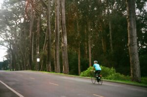 A városi biciklis közlekedés kultúrája és divatja