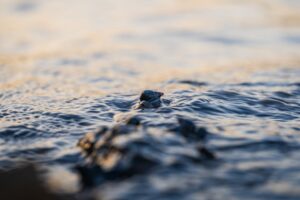 Természeti csodák, amiket kevesen ismernek